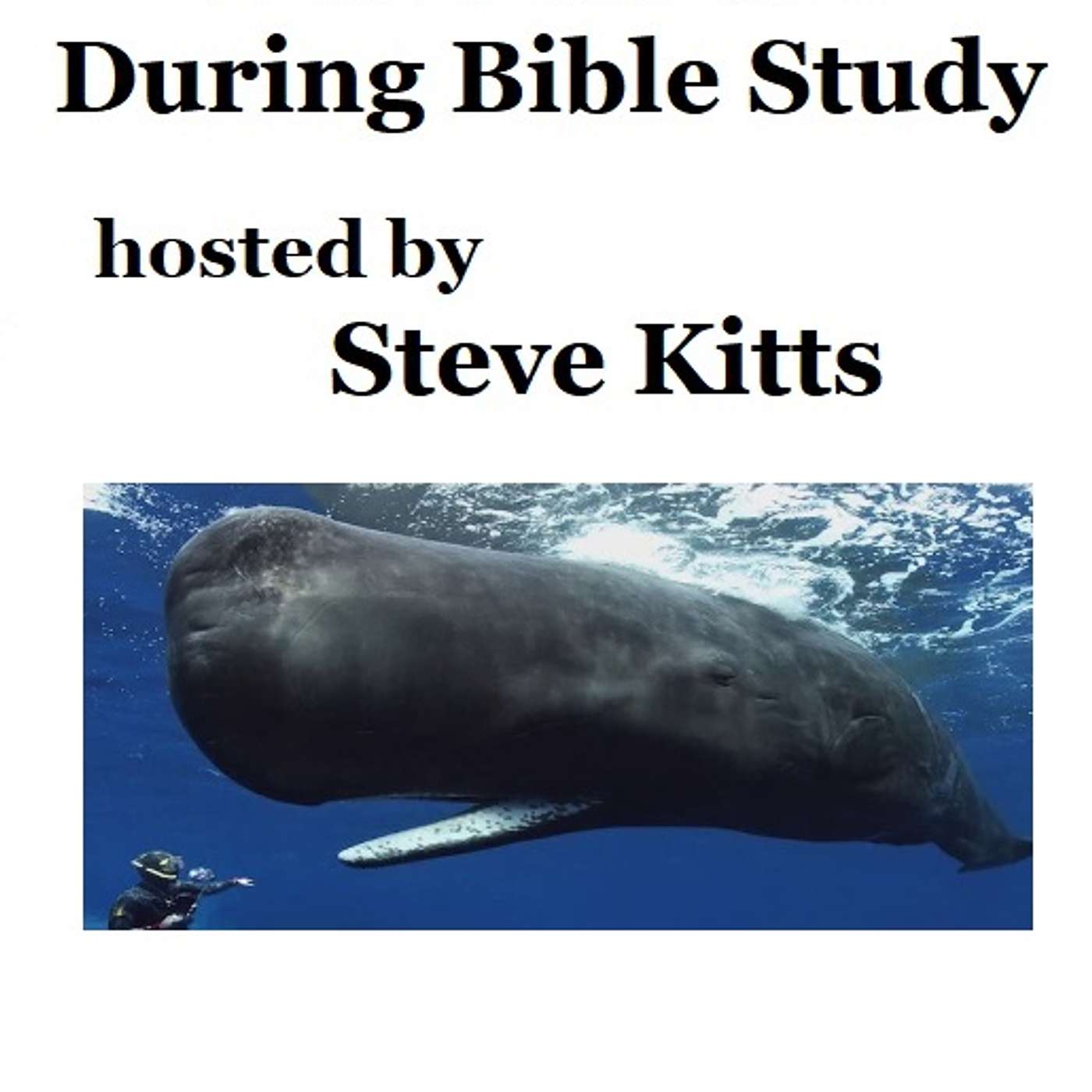 During Bible Study