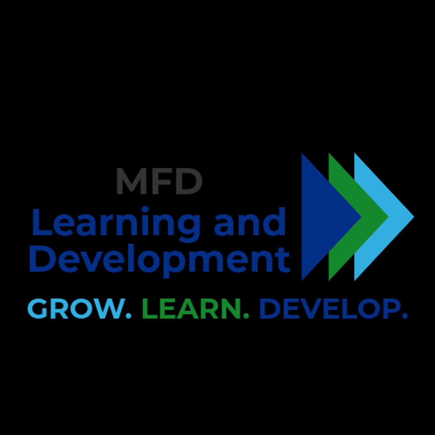 MFD L&D