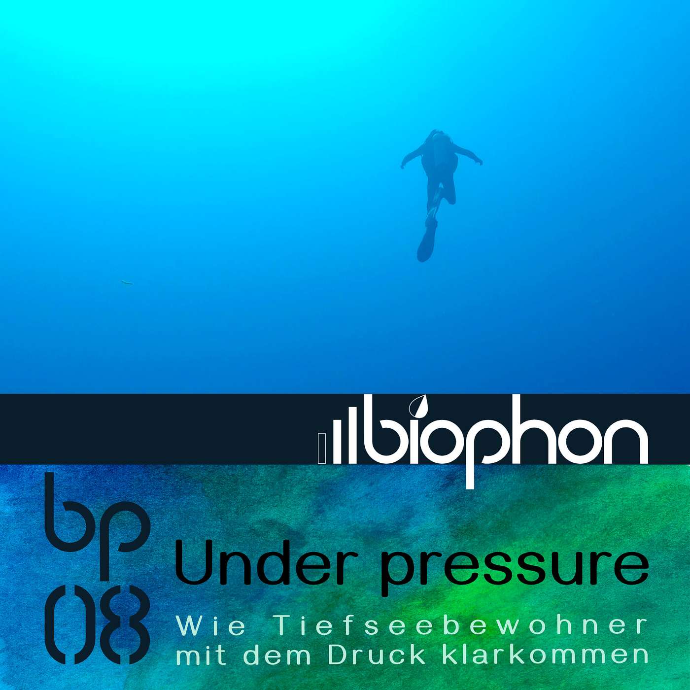 biophon - Geschichten aus Biowissenschaft und Forschung