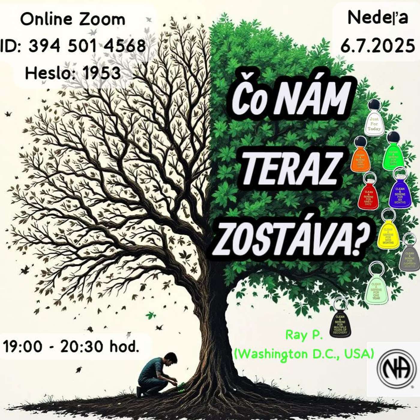 Čo nám teraz zostáva? - Ray P. (Washington, USA) - 6. 7. 2025 episode artwork