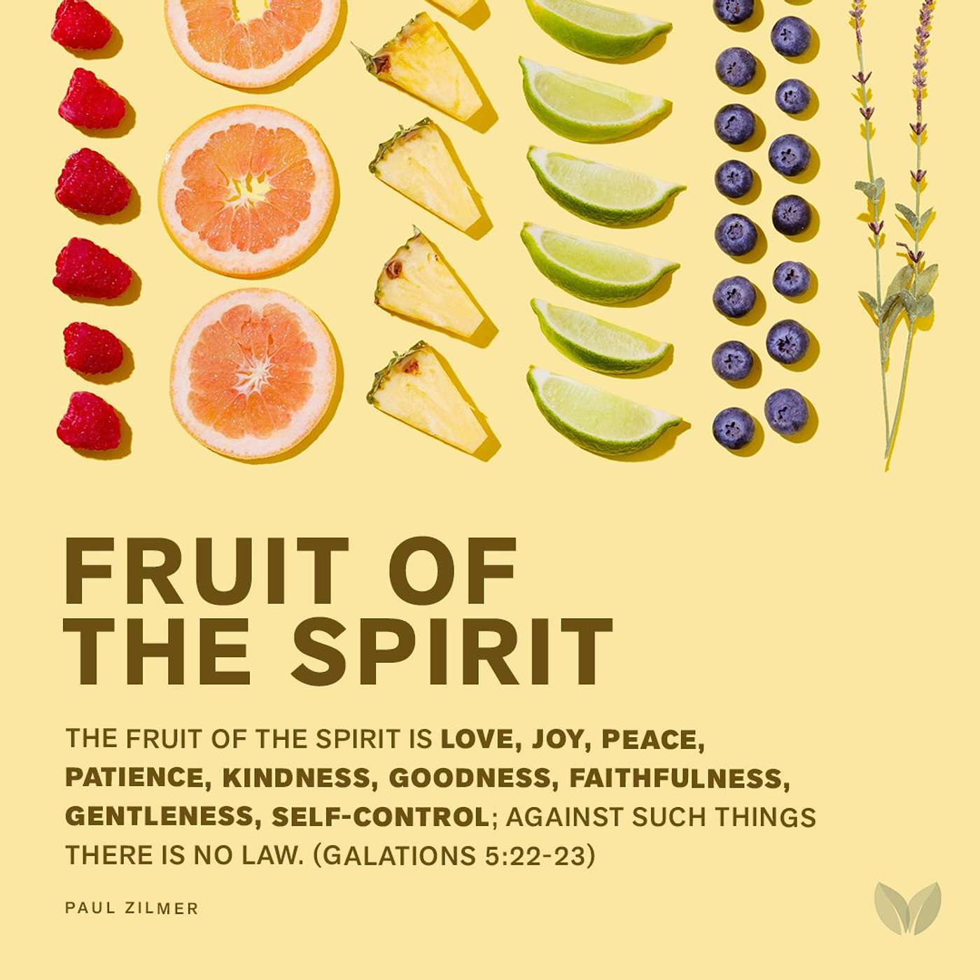 S4 D.R #2: Unwrapping the Gifts of the Holy Spirit this Christmas season episode artwork