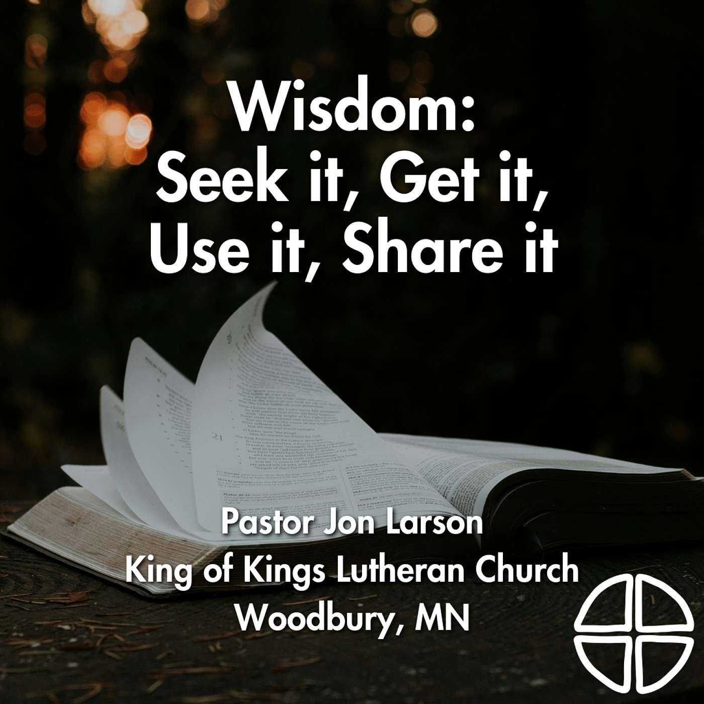Wisdom: Seek it, Get it, Use it, Share it // Pastor Jon Larson episode artwork