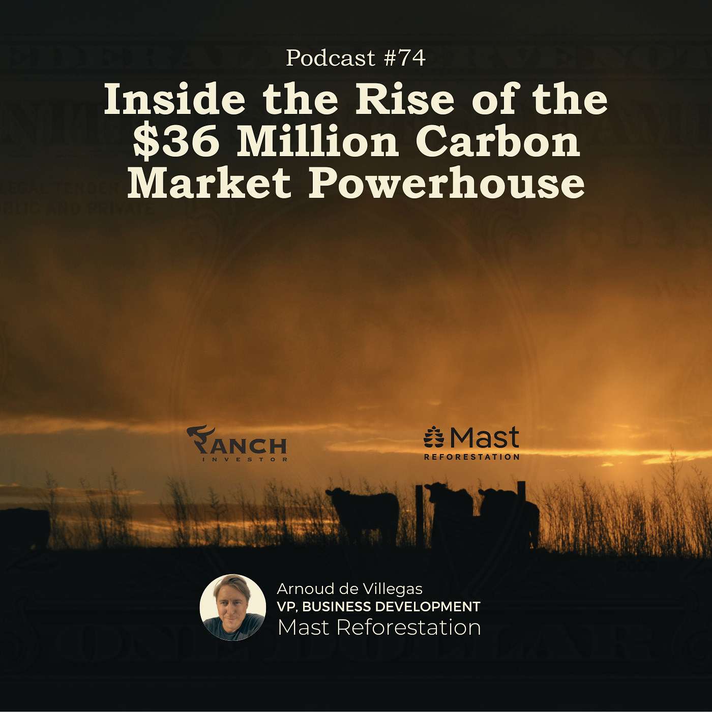 Inside the Rise of the $36M Carbon Market Powerhouse episode artwork