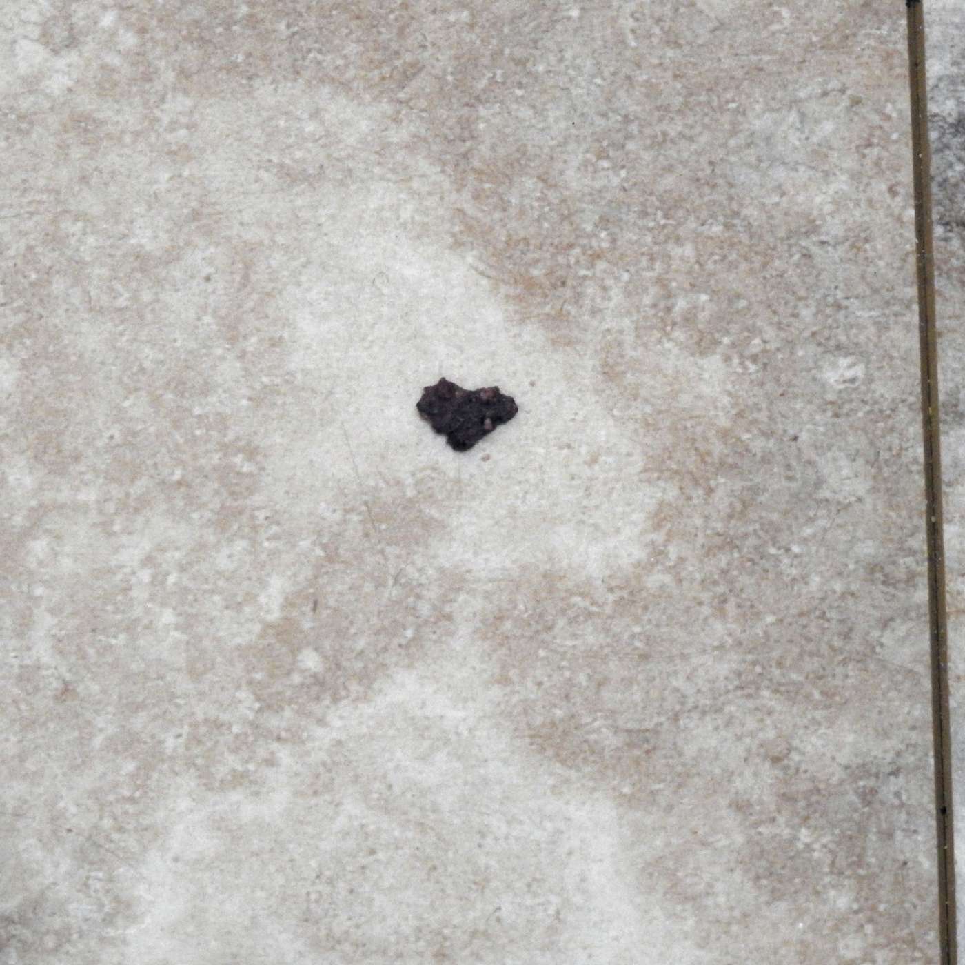 HEART SIZE DOES NOT DEPEND ON THE POWER OF LOVE