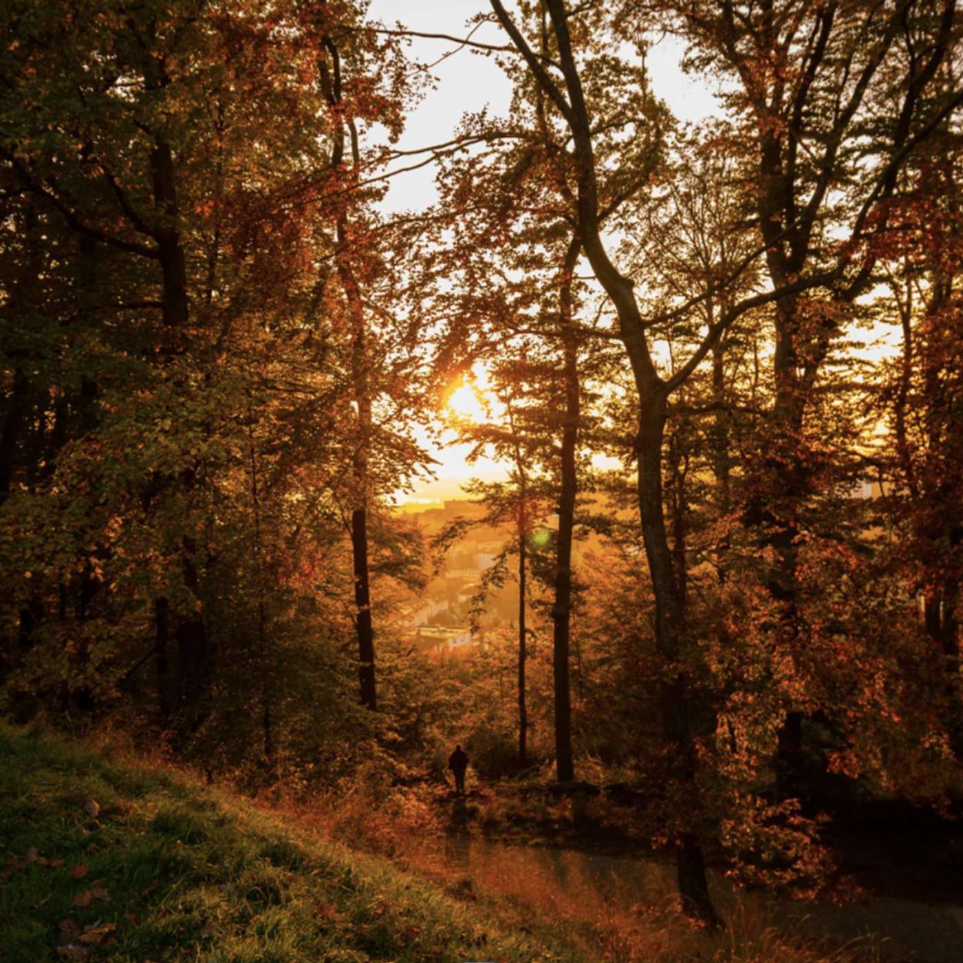 Episode 7 - Grounding into Fall & Winter episode artwork