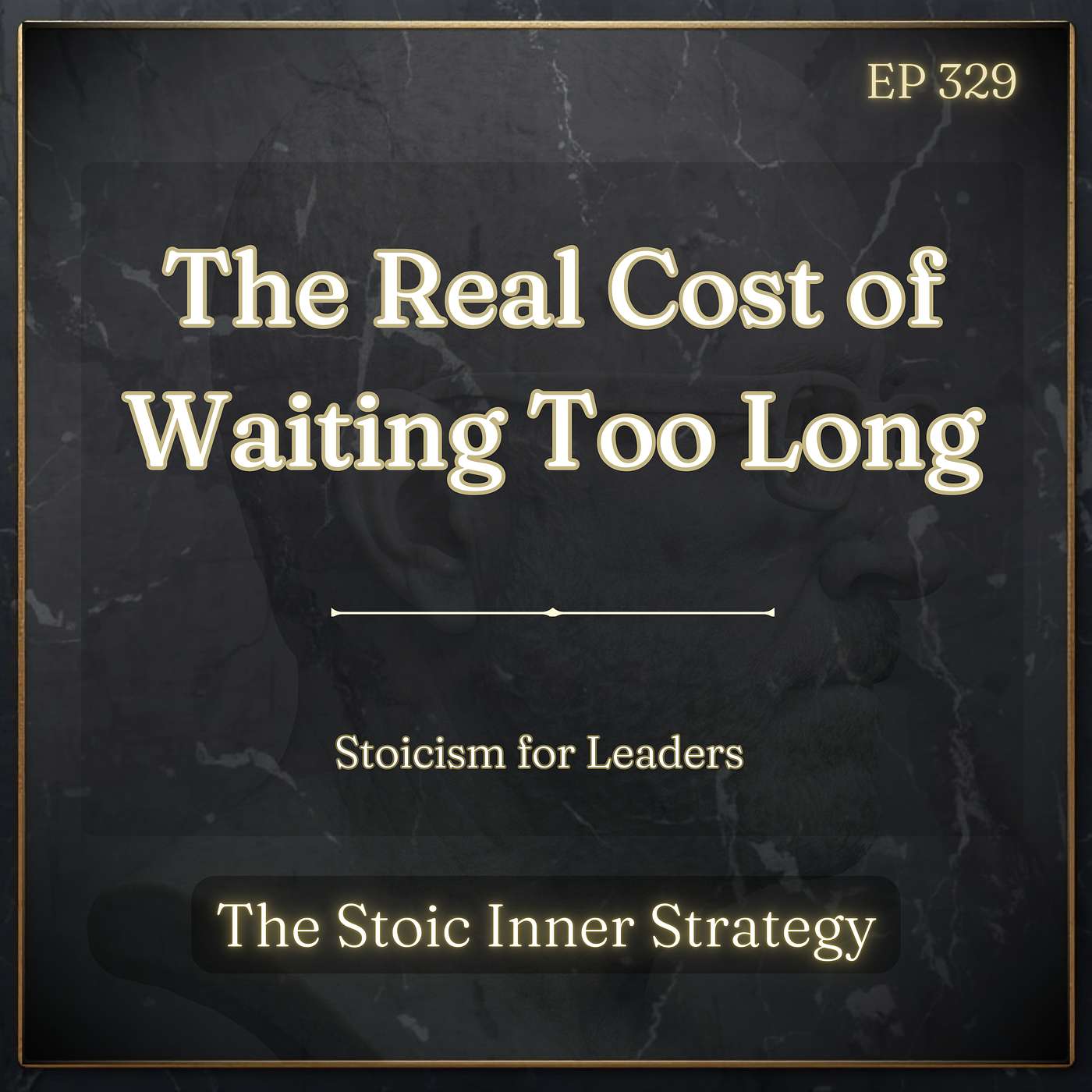 Ep 329 – The Real Cost of Waiting Too Long episode artwork