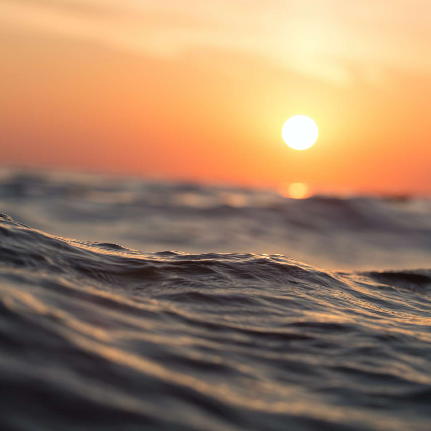 Present for What Is | A Mindfulness Practice to Be in the Now