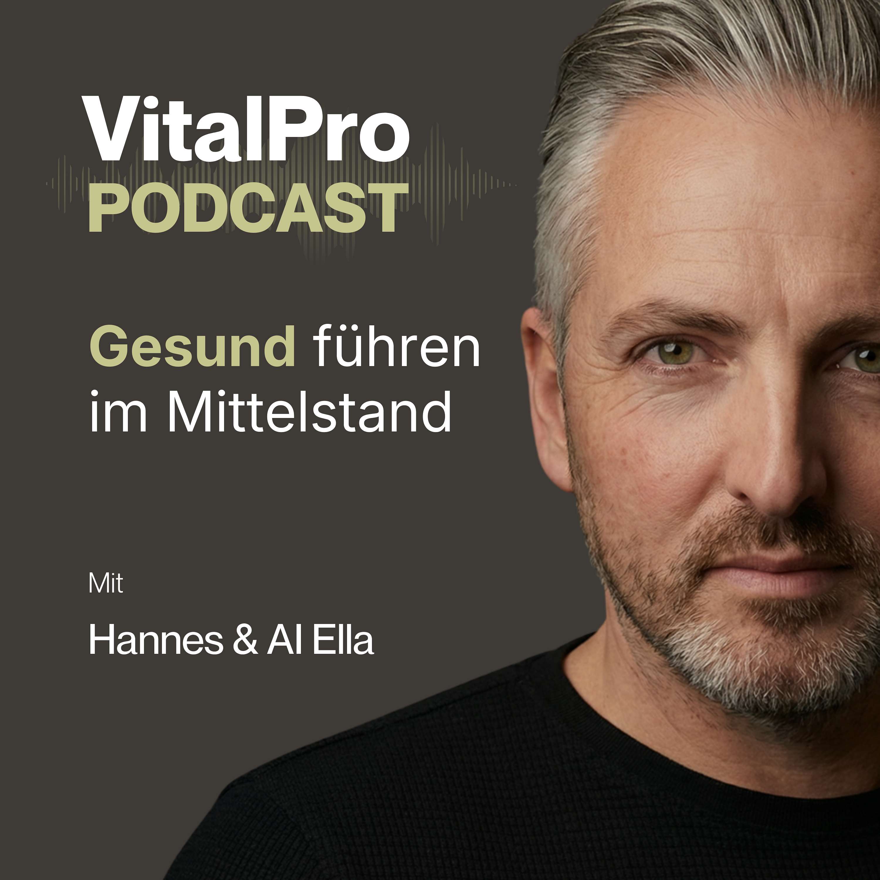 VitalPro — Gesund führen im Mittelstand cover art