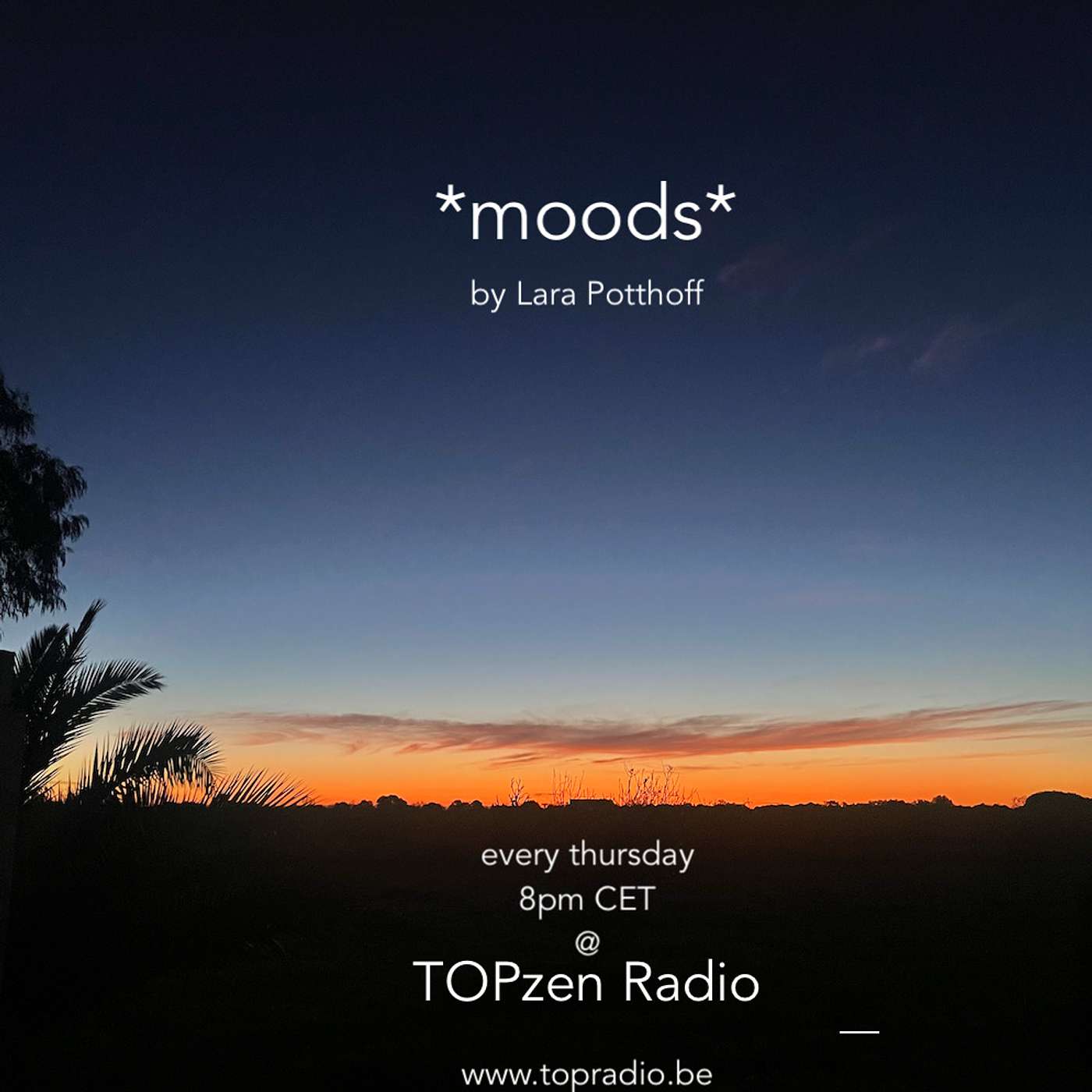 *moods* by Lara Potthoff @ TOPzen Radio 04.01.2024