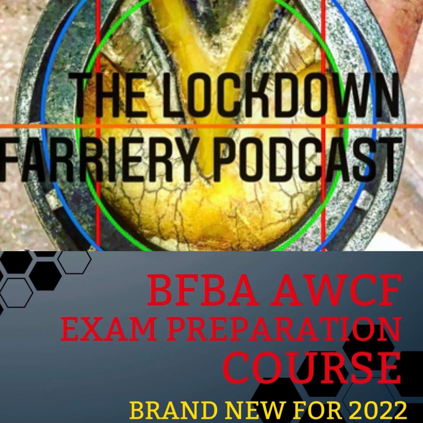 The Lockdown Farriery  Podcast