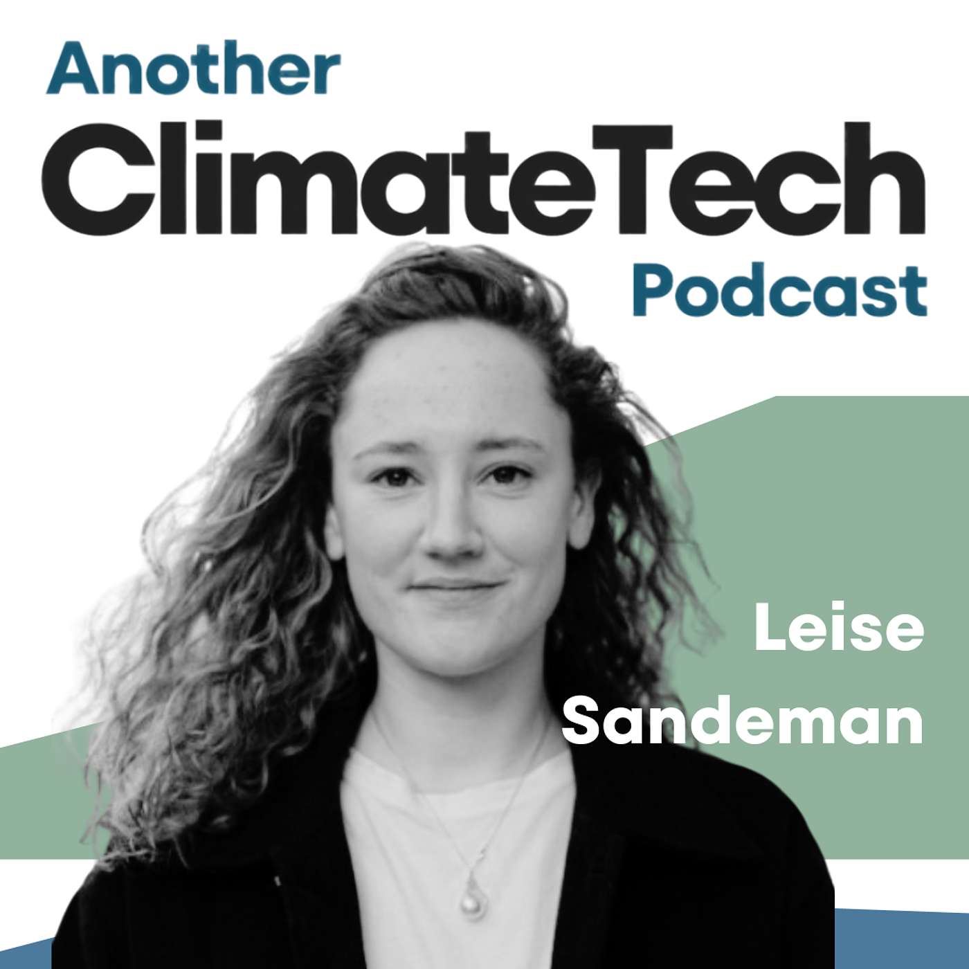 Another ClimateTech Podcast