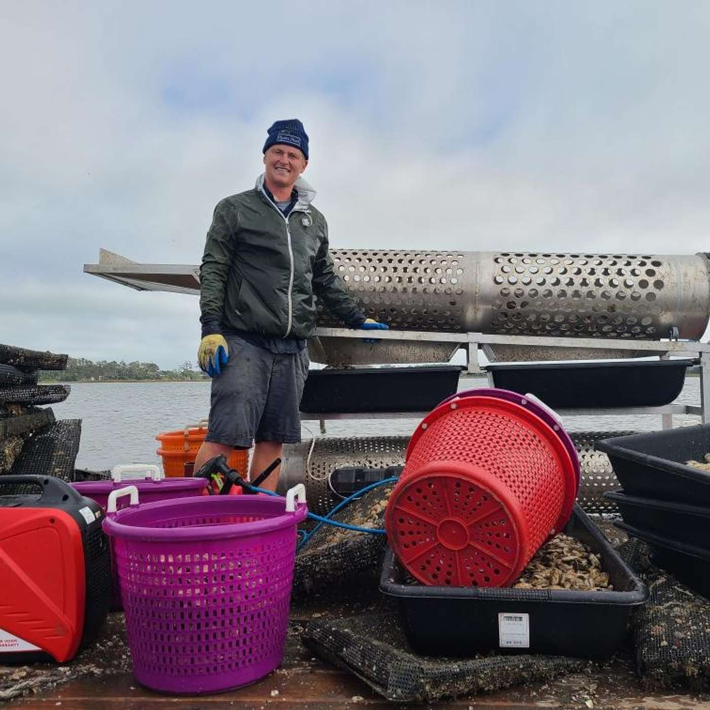 Oysters & The Ballot Box