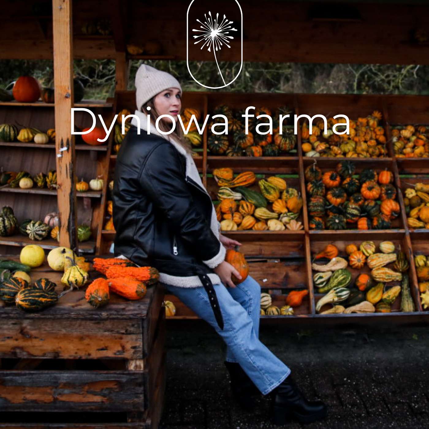 03 Dyniowa Farma