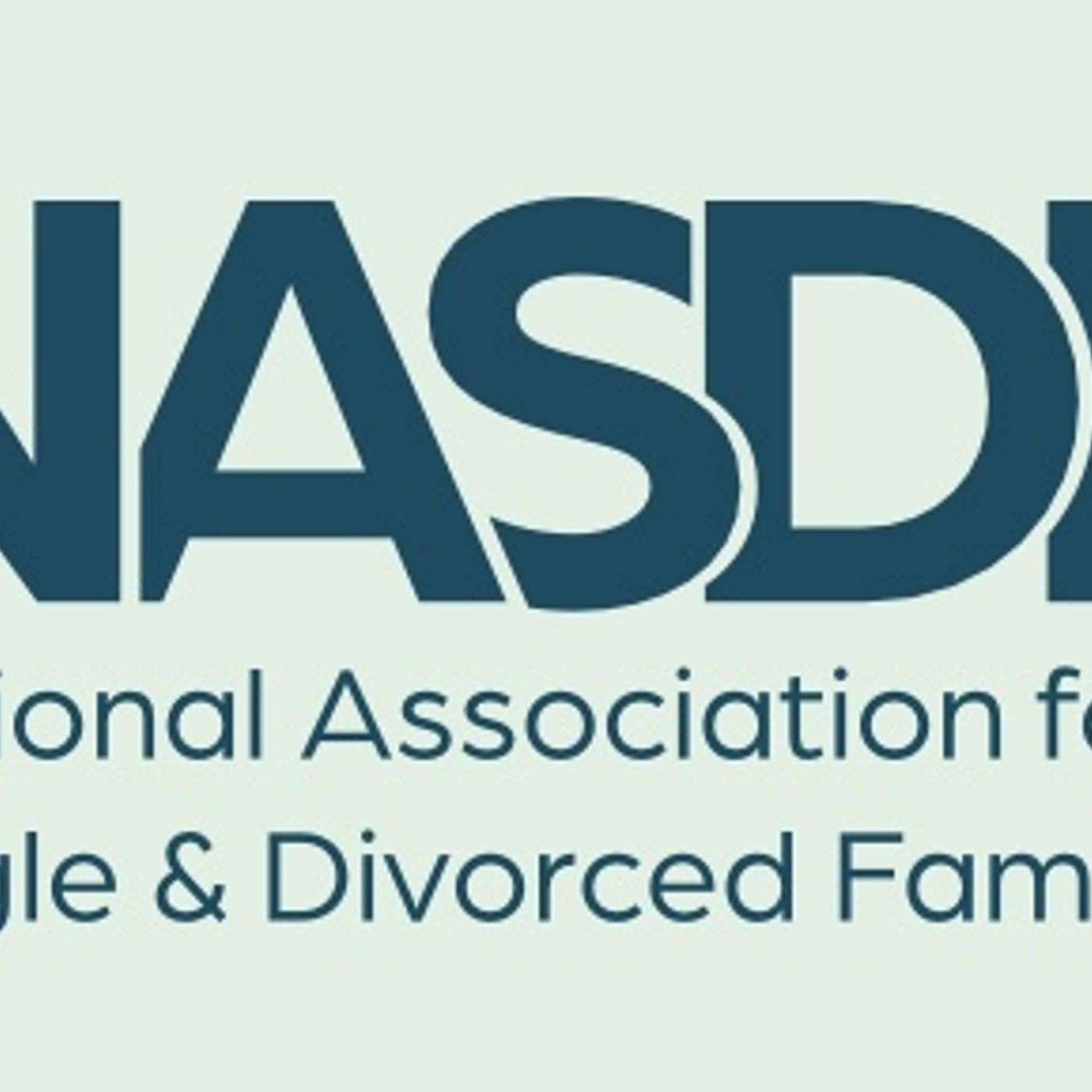 NASDF.ORG To Be Launched To Support Families Going Through Divorce; With Ron Platt
