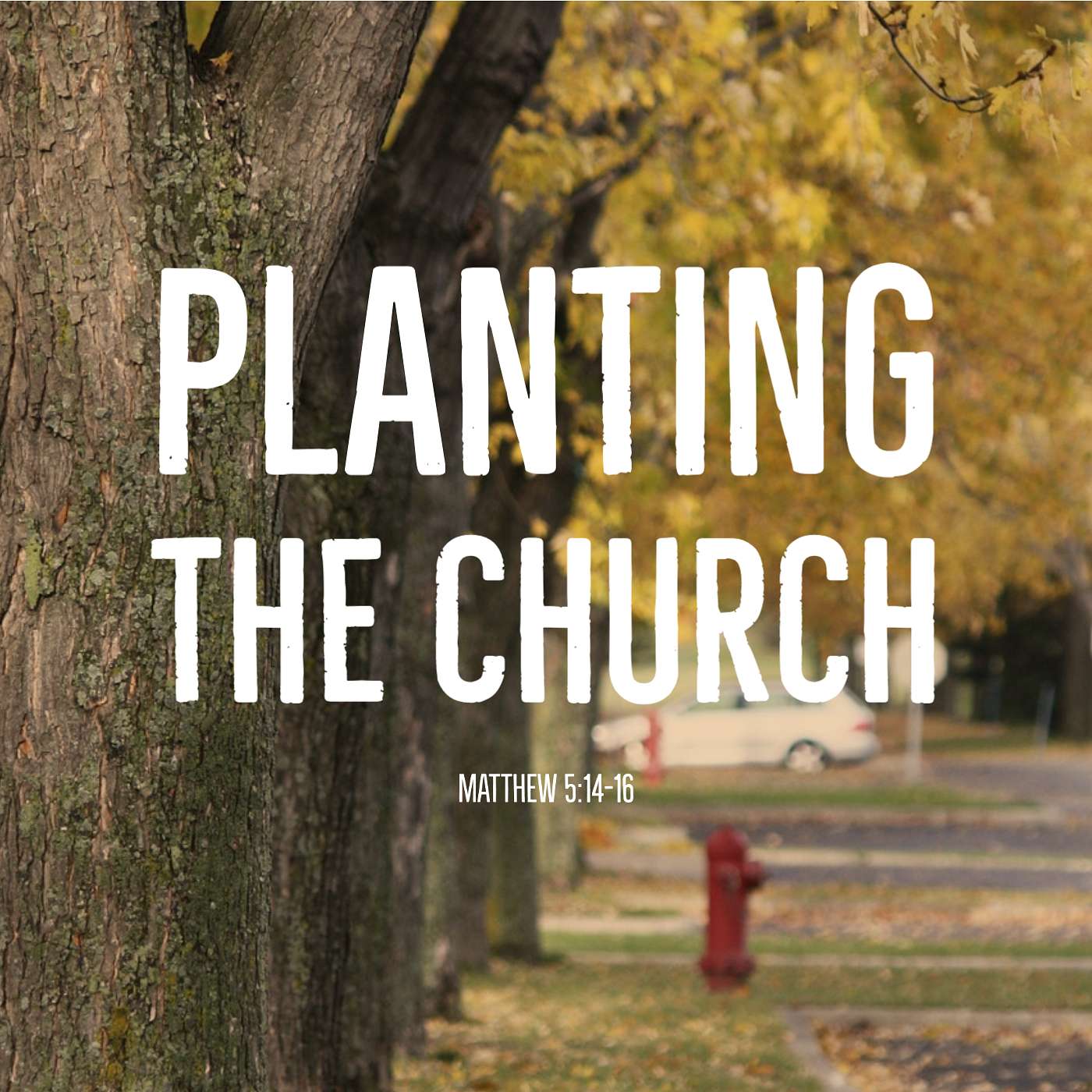 Planting The Church