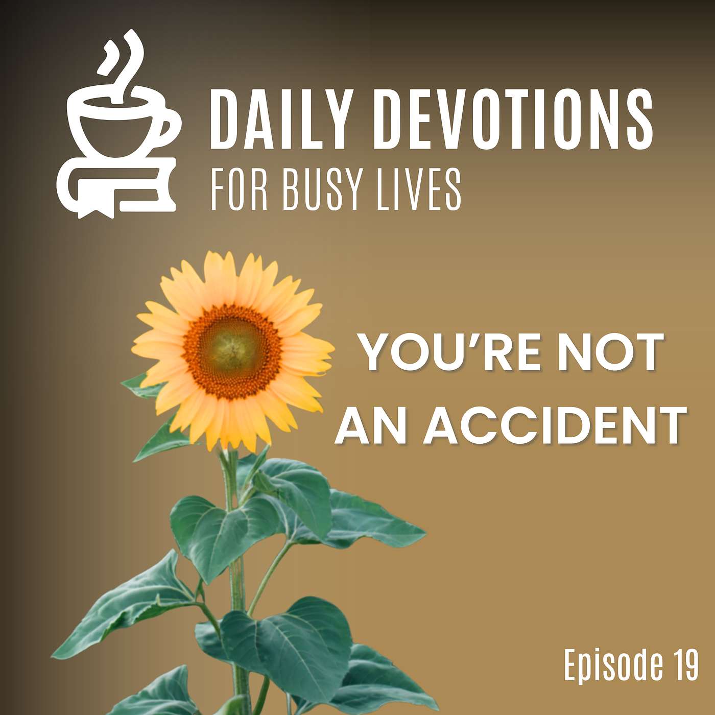 You're Not an Accident