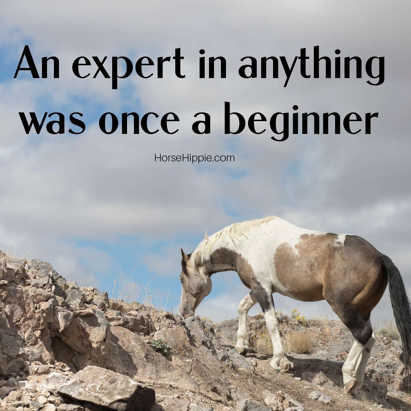 You Have to Be a Beginner First