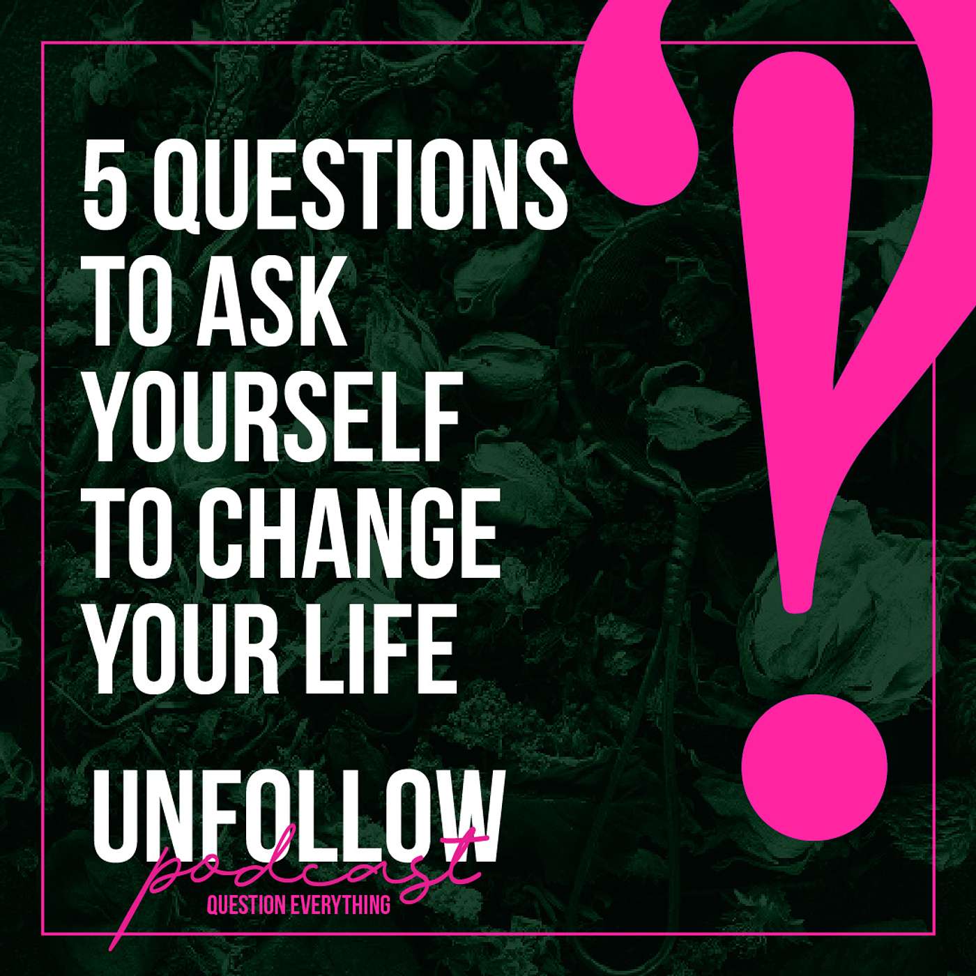 UnFollow: Question Everything with Melissa Wiggins