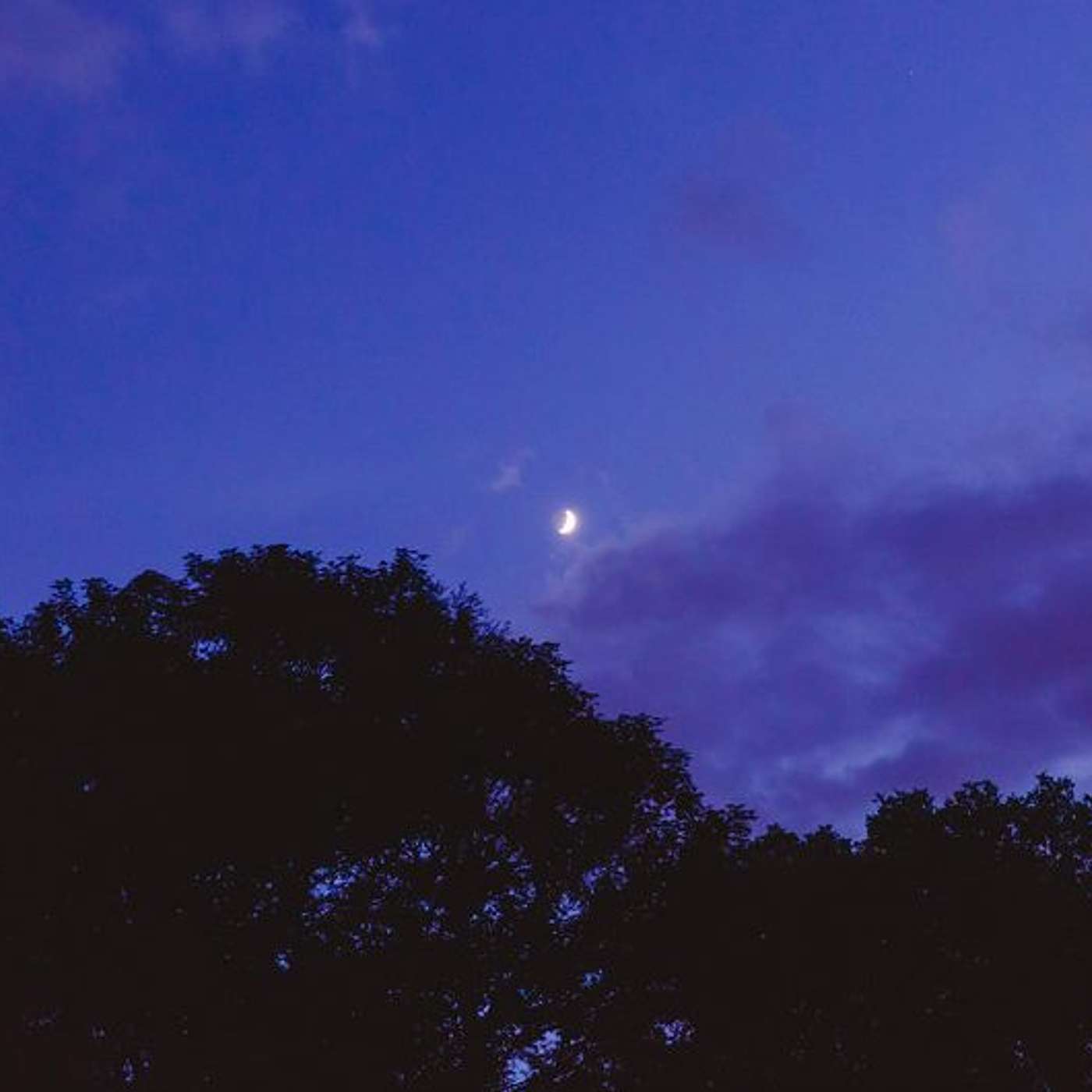 Grieve out loud with me, rename the moon: Parshat Shmini 5786 episode artwork