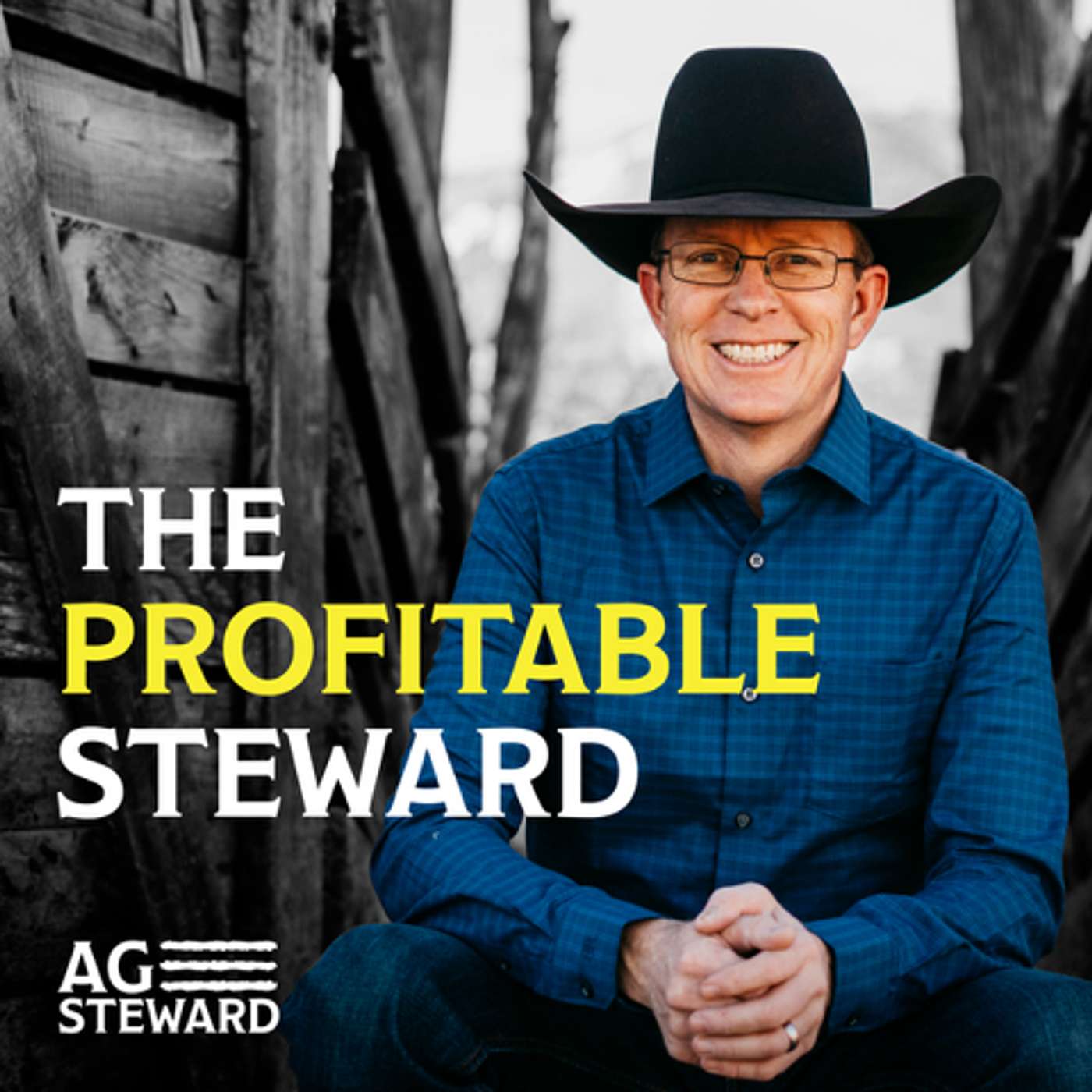 The Profitable Steward