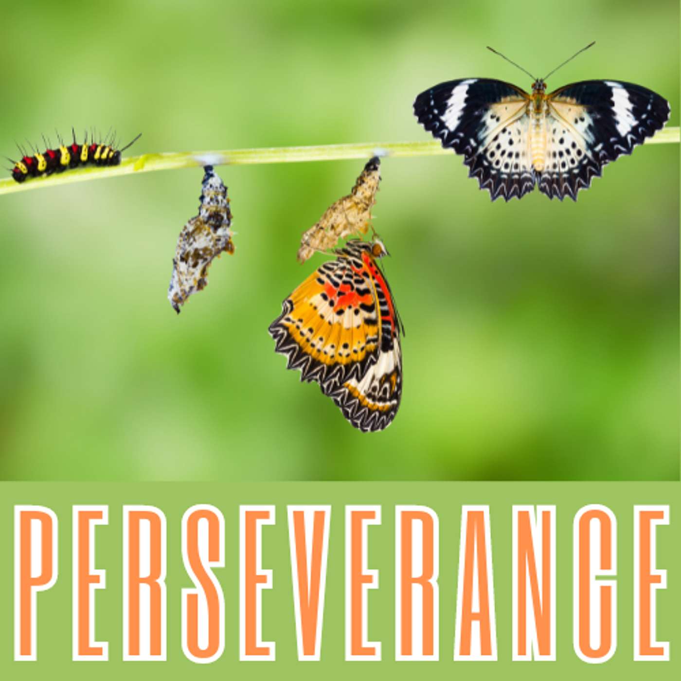 Perseverance