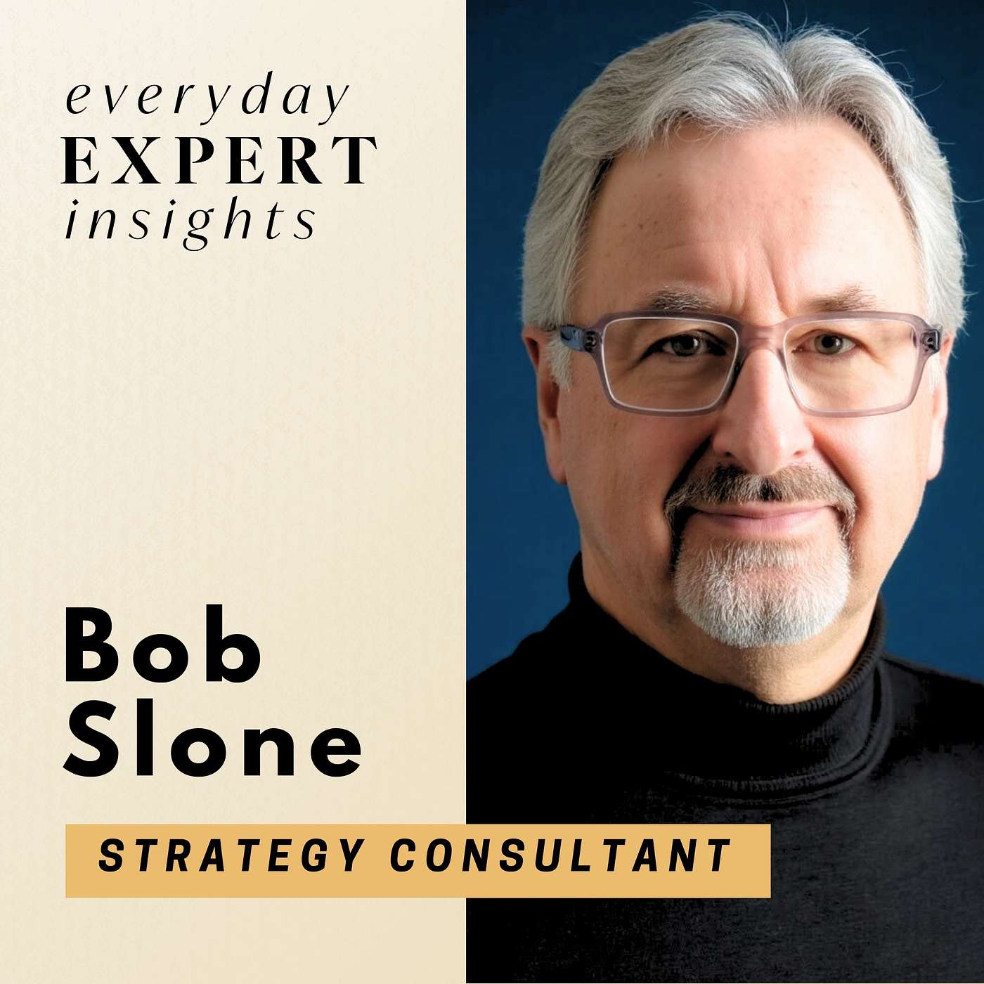 Everyday Expert Insights
