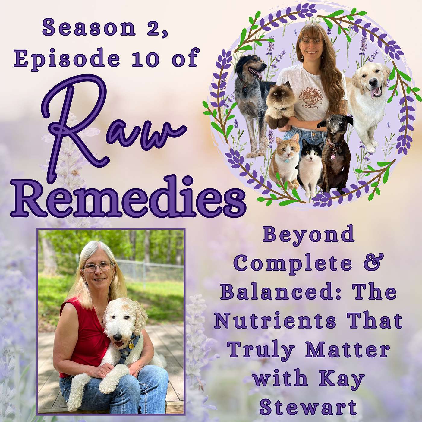Beyond complete & balanced- the nutrients that truly matter with Kay Stewart episode artwork