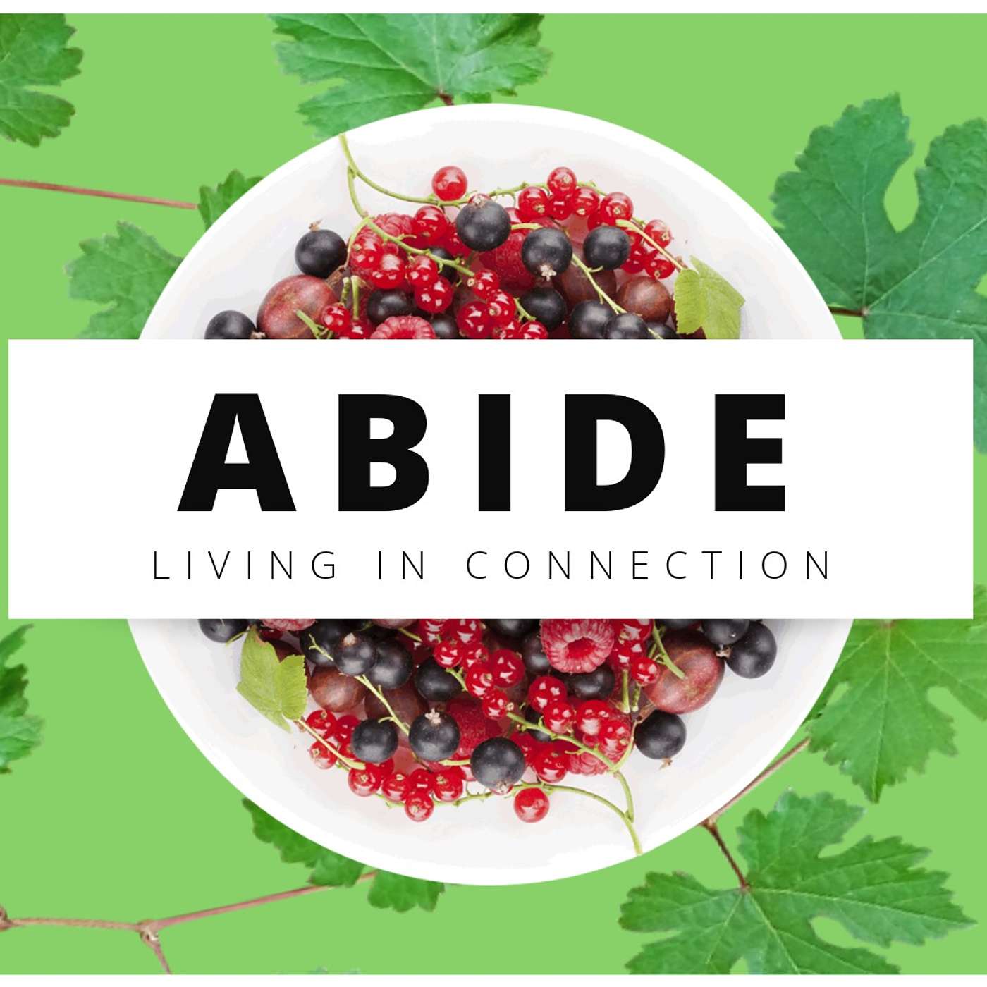 ABIDE Week 6 (feat. Mike Plunket)