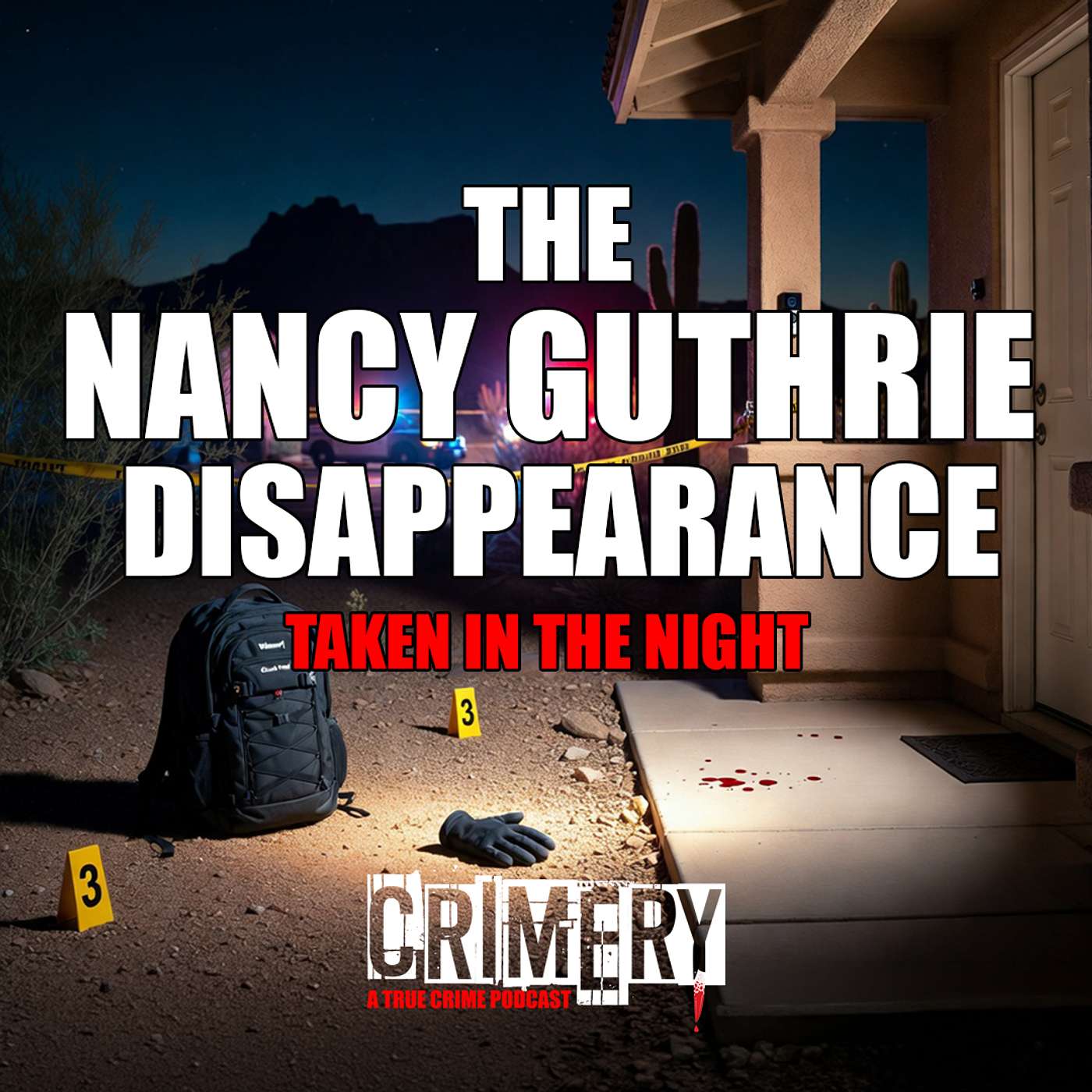The Nancy Guthrie Disappearance: Taken in the Night