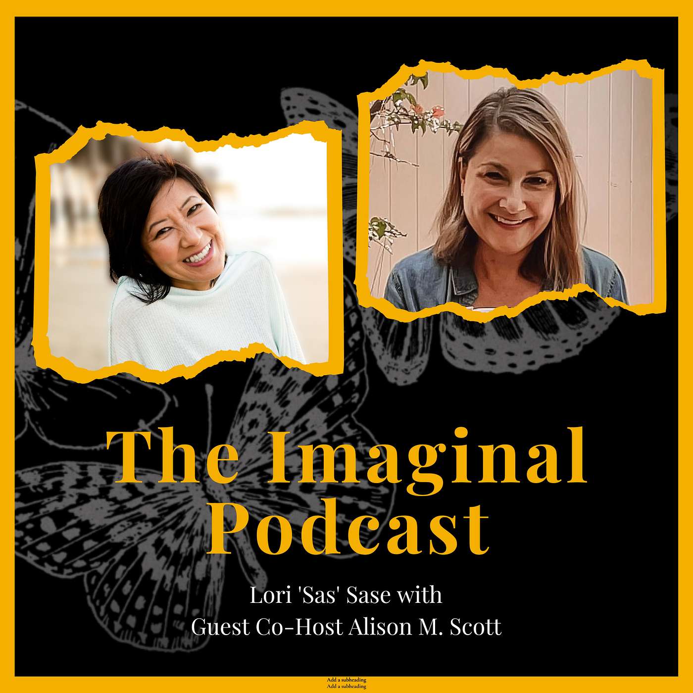 The Imaginal Podcast - 136: What To Do When Self-Doubt Creeps In - With Guest Co-Host Coach Alison M. Scott - Being Coached From Afar, Part 10