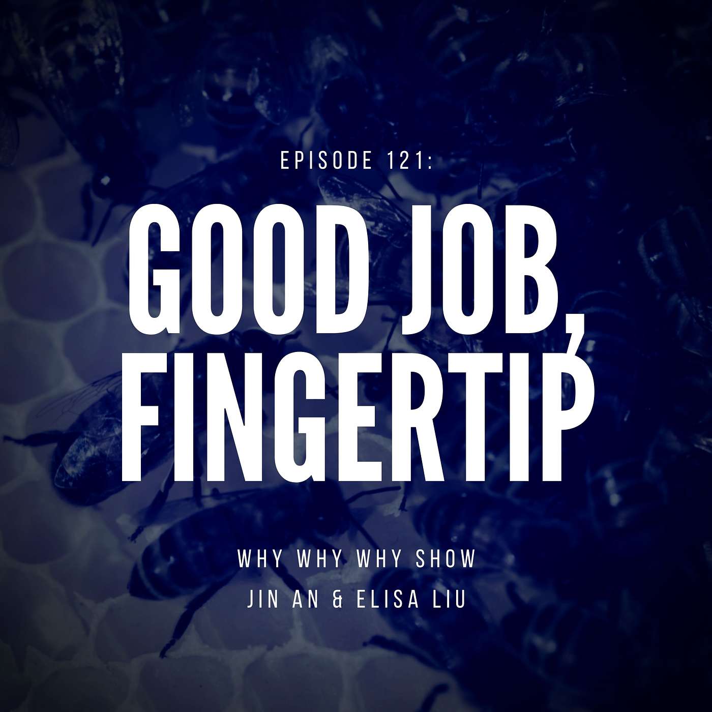 121: Good Job, Fingertip!