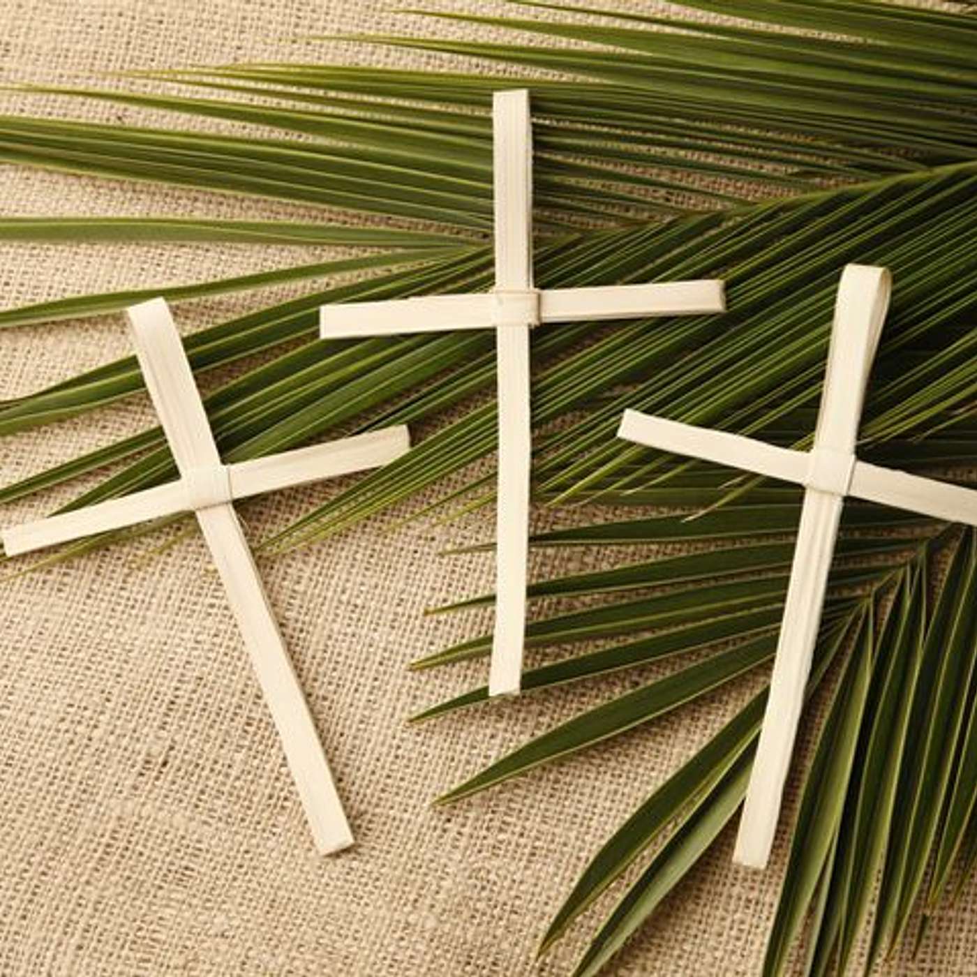 Reflections for Holy Week 2021 - 28 March 2021 (S11E19b) (SS102fm programme excerpt)