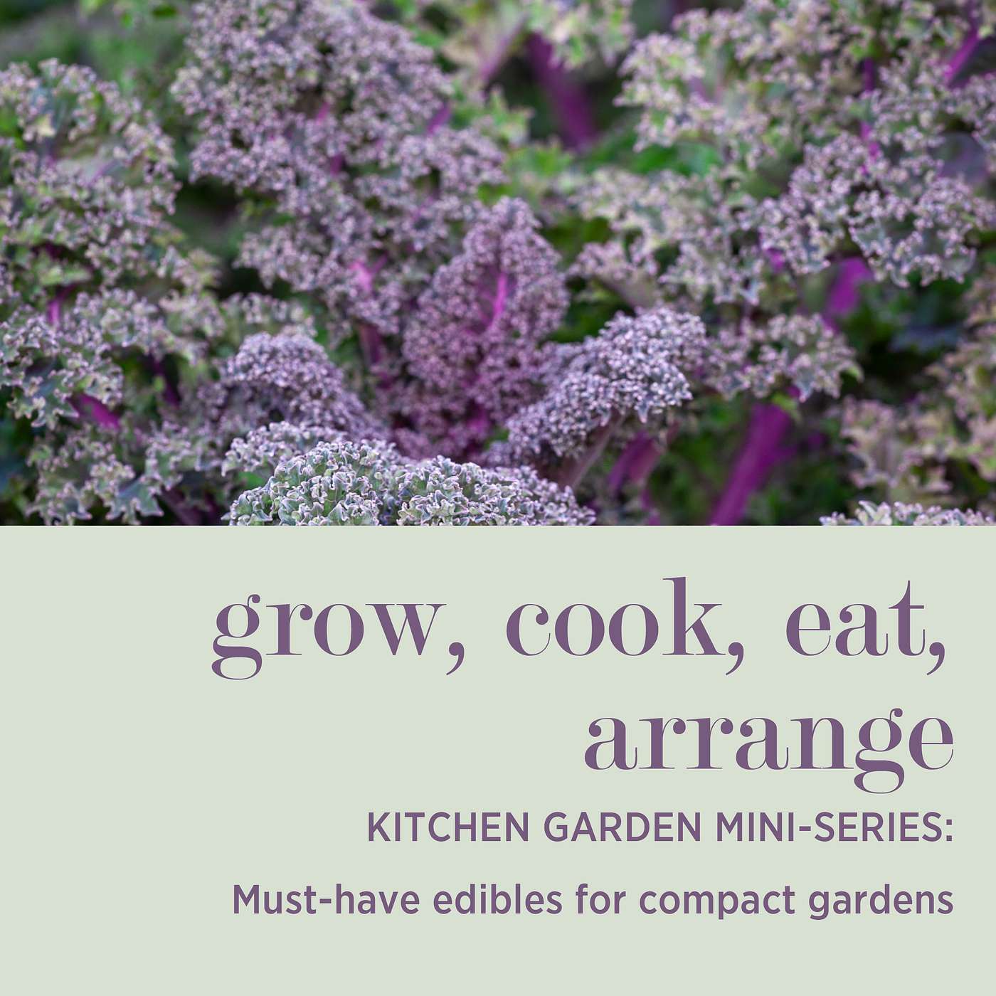 cover of episode KITCHEN GARDEN MINI-SERIES: Must-Have Edibles for Compact Gardens