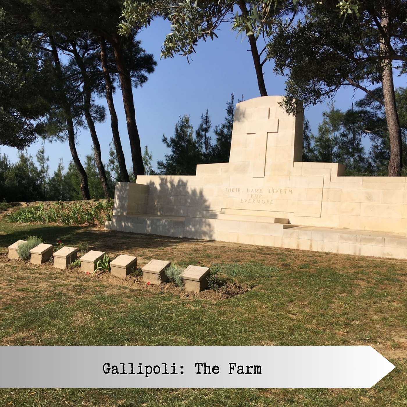 Gallipoli: The Farm