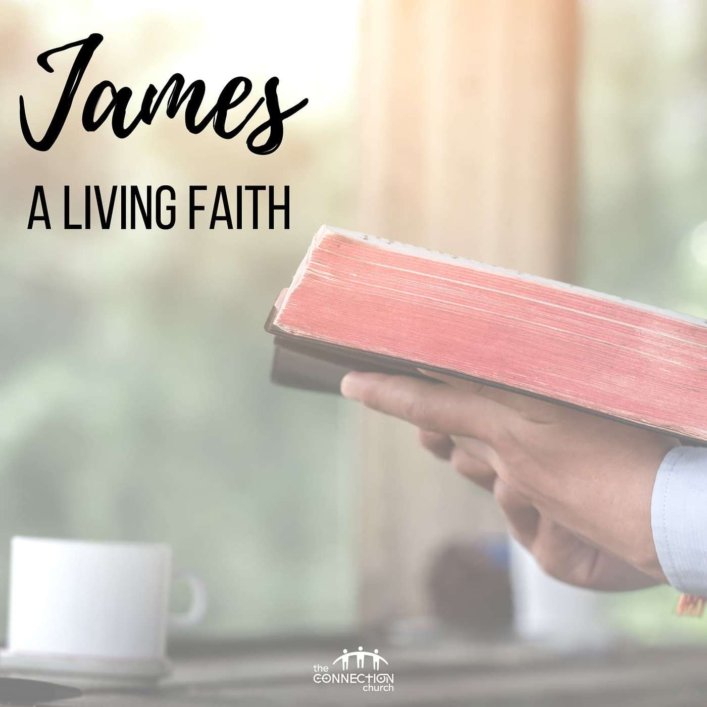 James: A Living Faith (part 11)