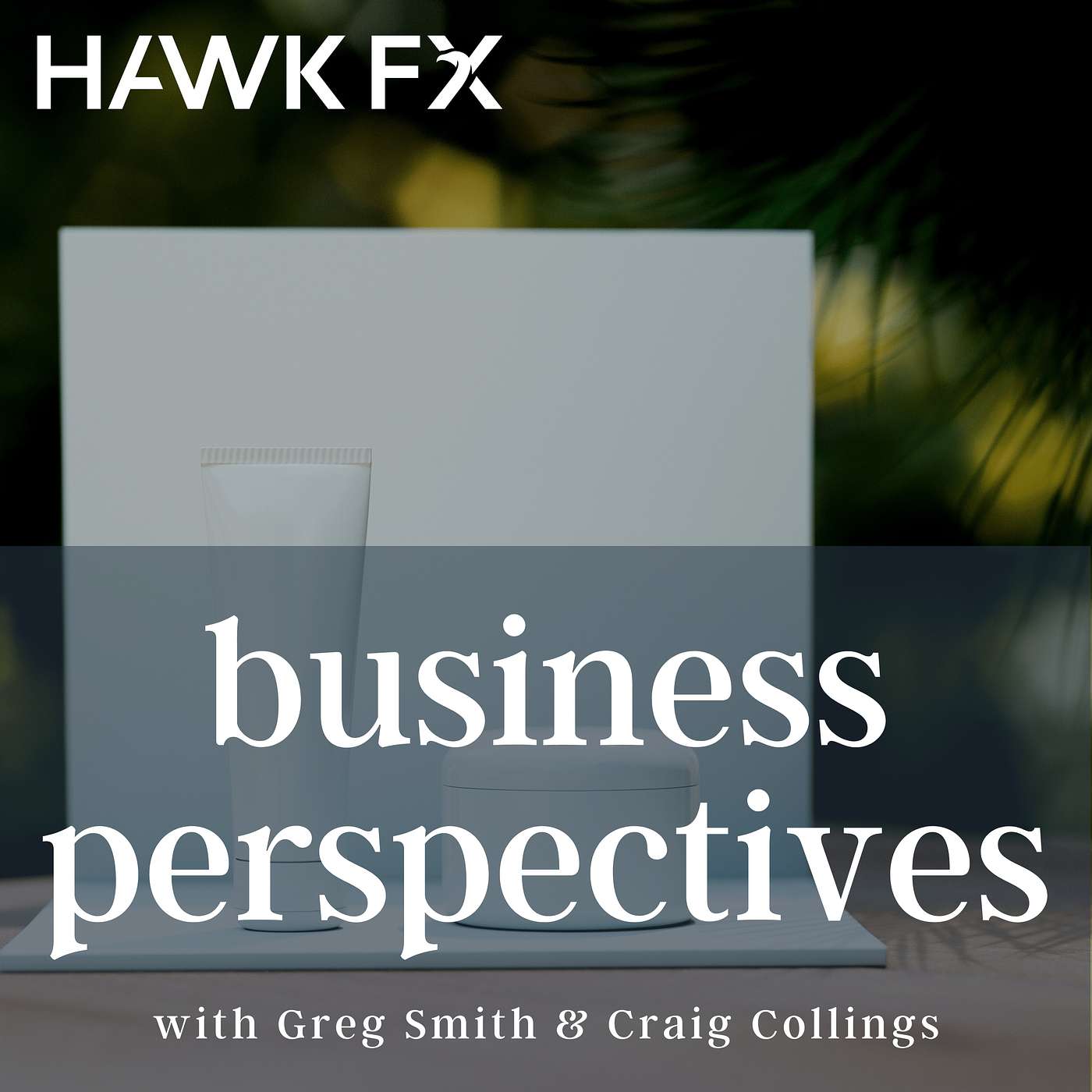 Business Perspectives by Hawk FX