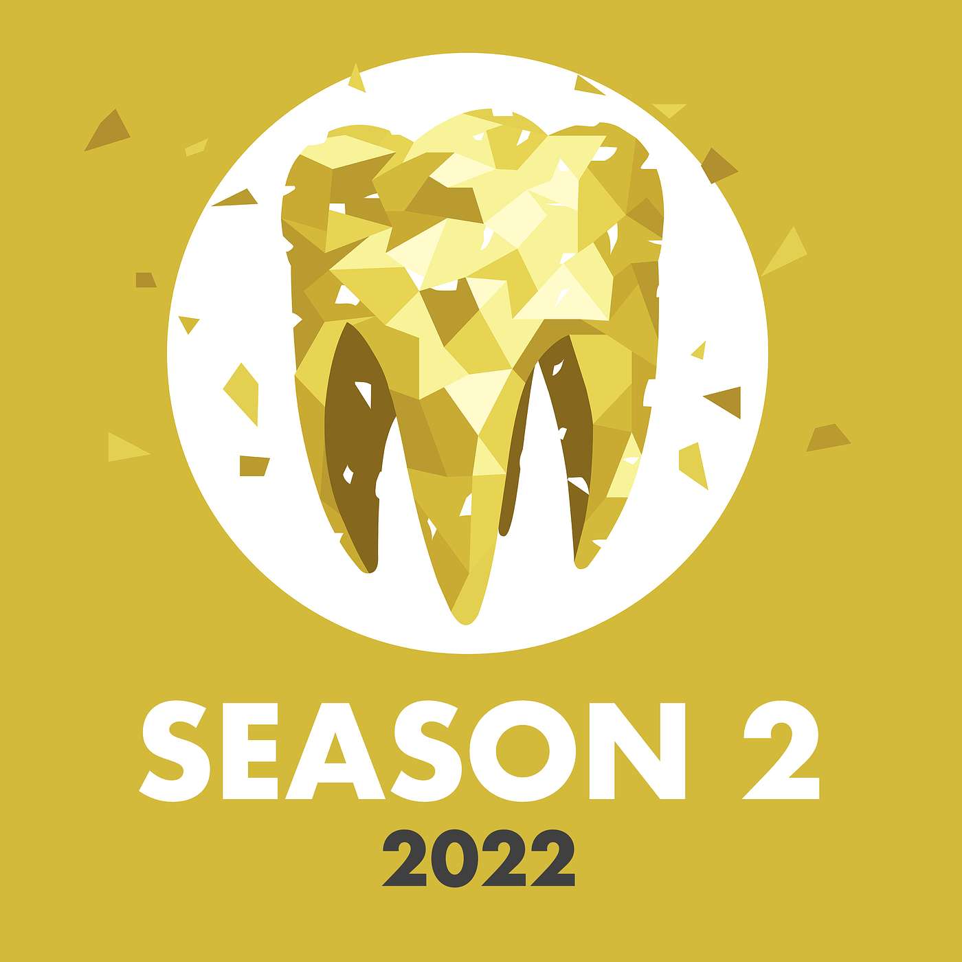 Long in the Tooth: Insights for Age 55+ Dentists