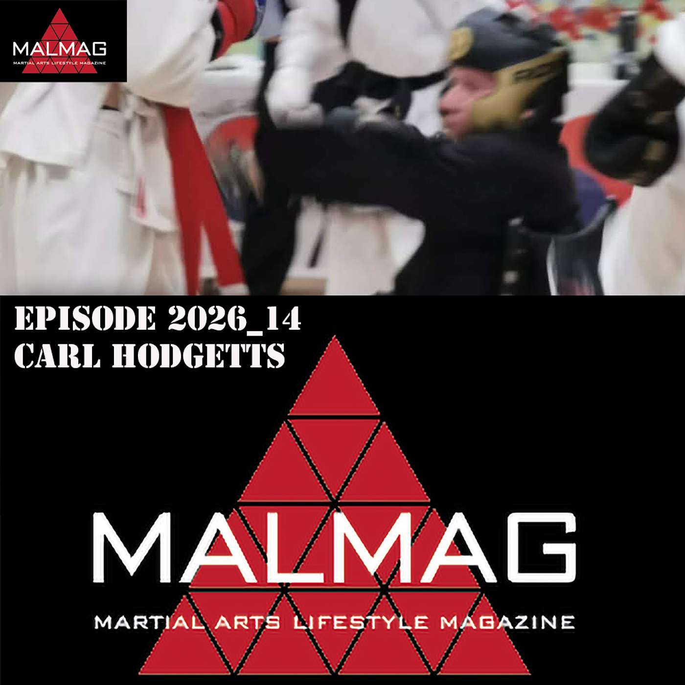 The Martial Arts Lifestyle Podcast
