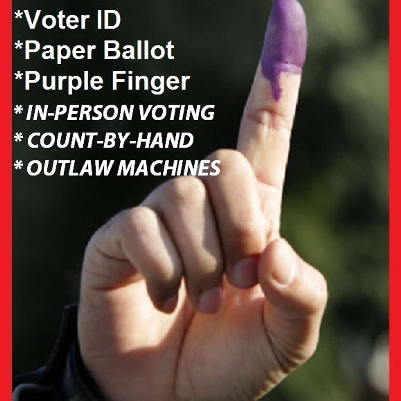 Make every LEGAL vote count!