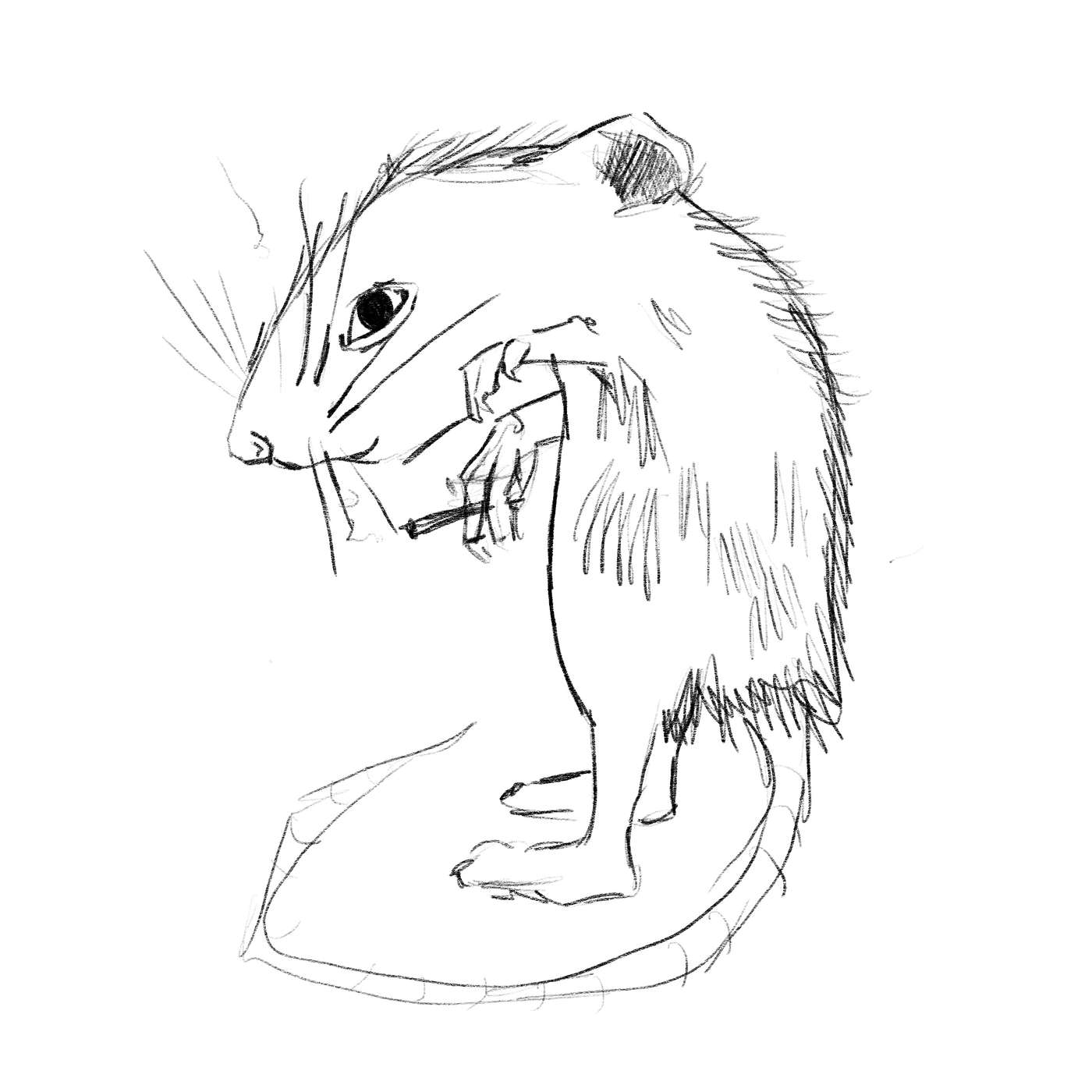 Mouse out of Wedlock