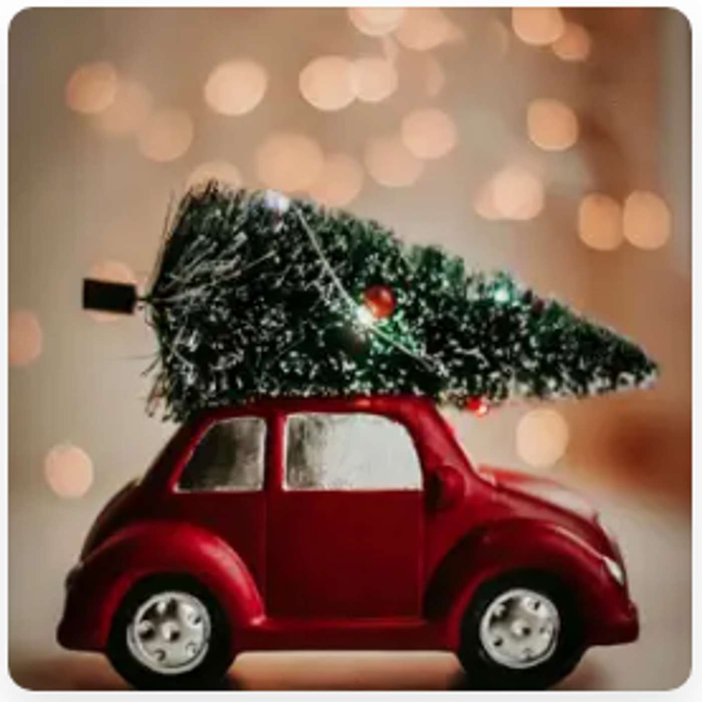 Aviva Leon 360 Podcast