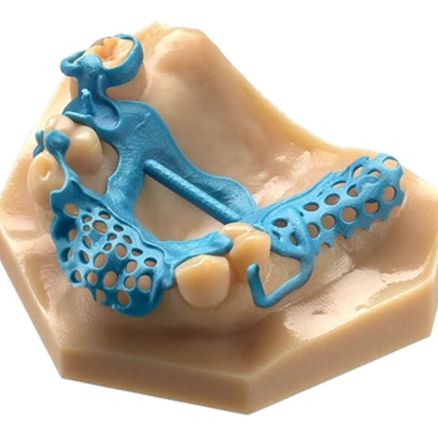The Dental Practitioner