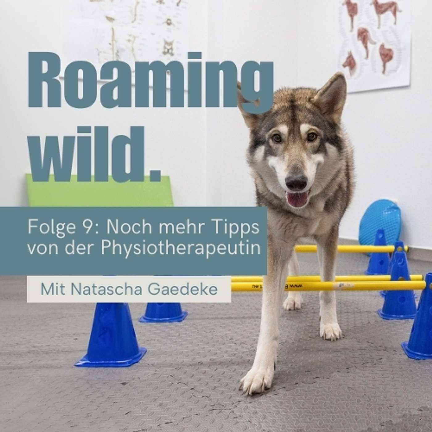 Roaming Wild - Outdoorerlebnisse und Fotografie mit Hund