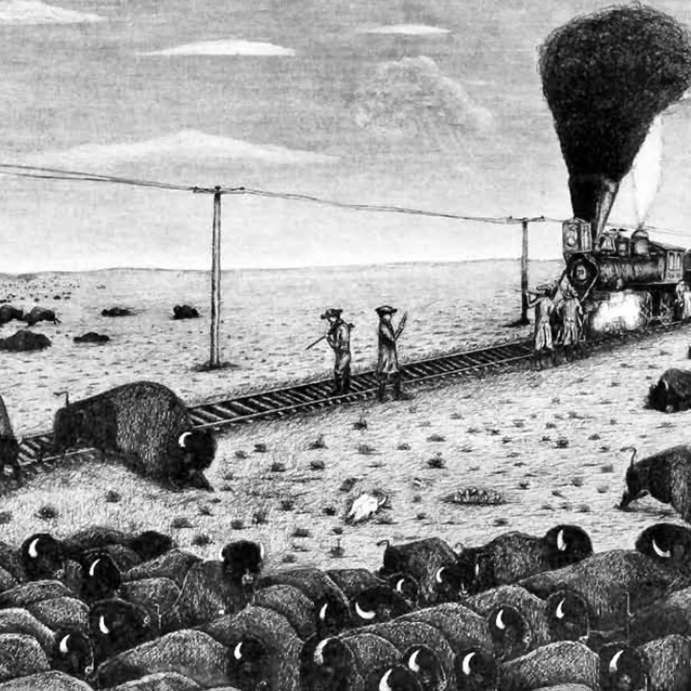 Buffalos and Bloodshed in the Wild West: An In-depth Exploration of Bison extinction and the Rise of the Frontier City