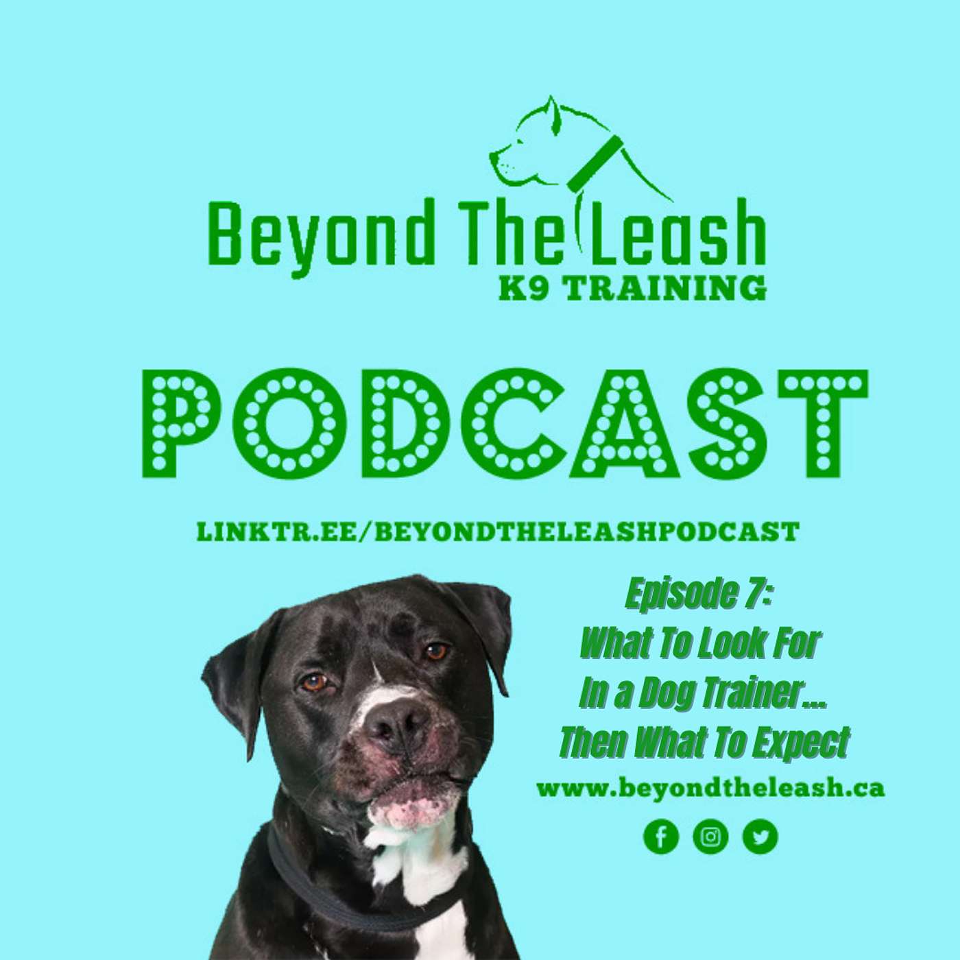 Beyond The Leash