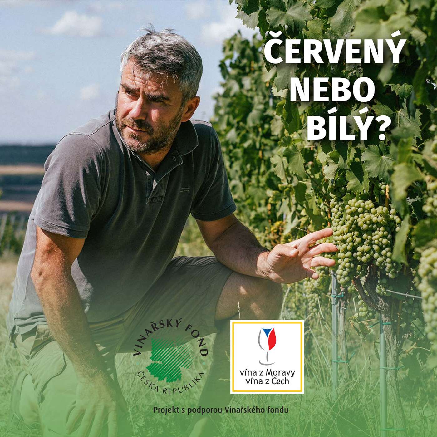 037: Jaromír Gala o světových vínech, prvním Pinotu a respektu ke krajině