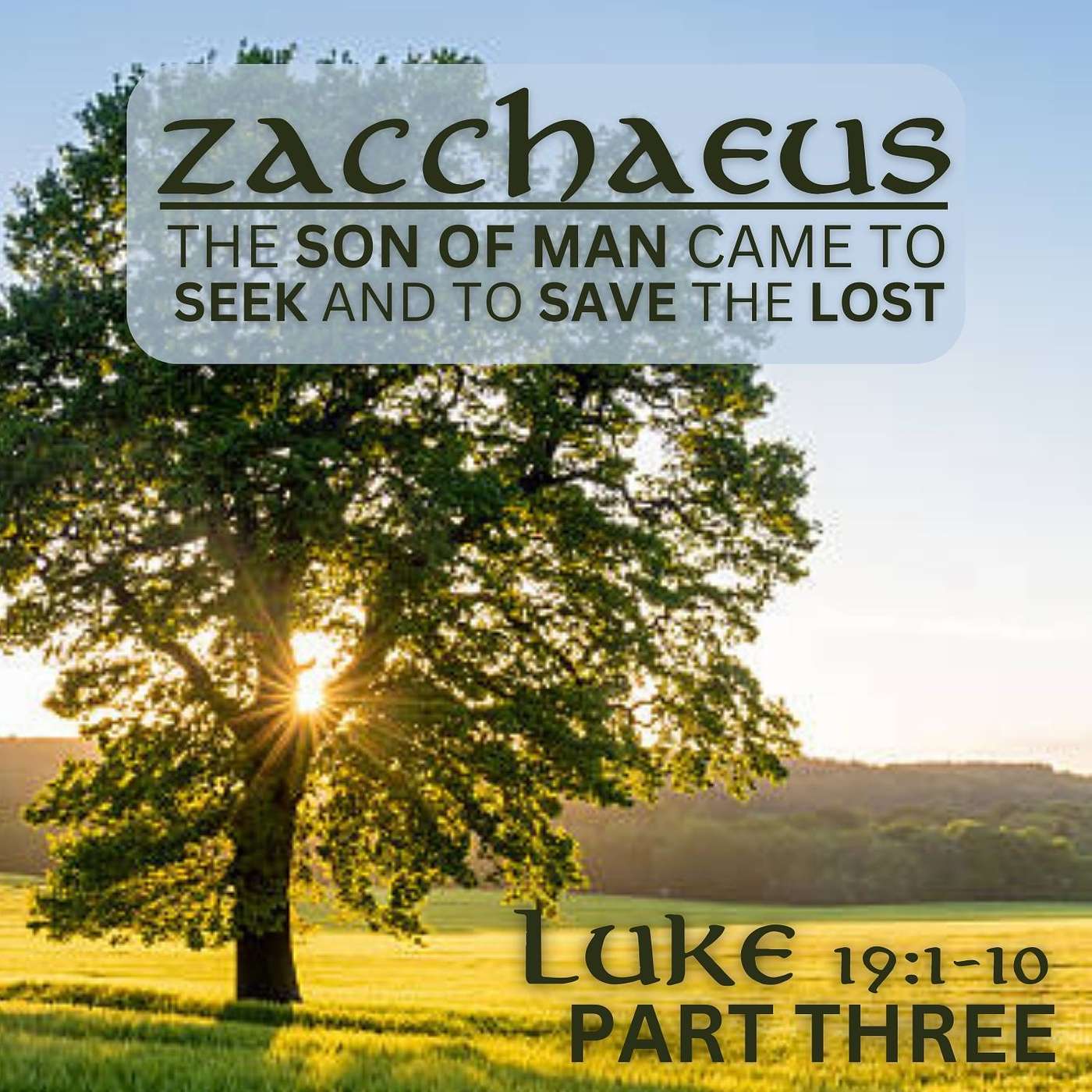 The Son of Man Came to Seek and to Save the Lost, Part 3; Luke 19:1-10