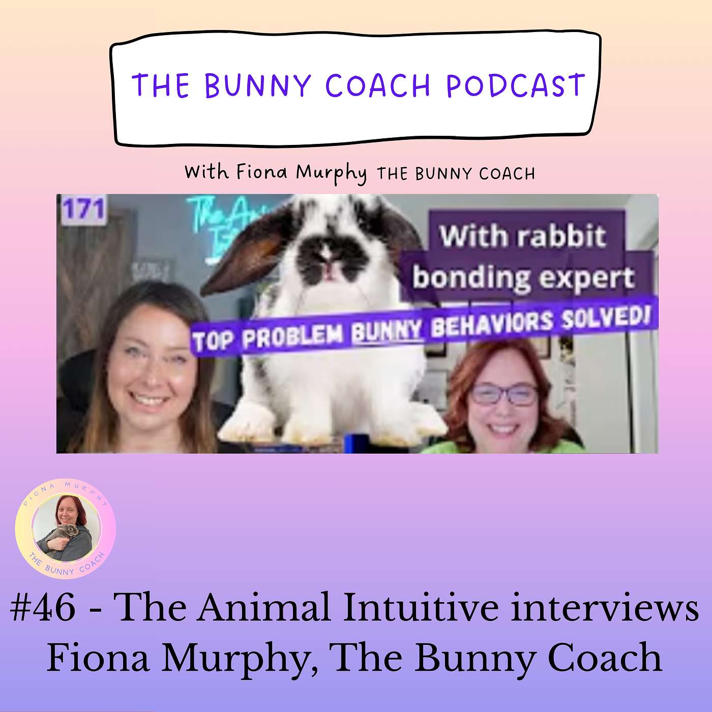 #46 -🐇 Unraveling Rabbit Habits: Decoding Chewing, Aggression, Bonding with The Animal Intuitive