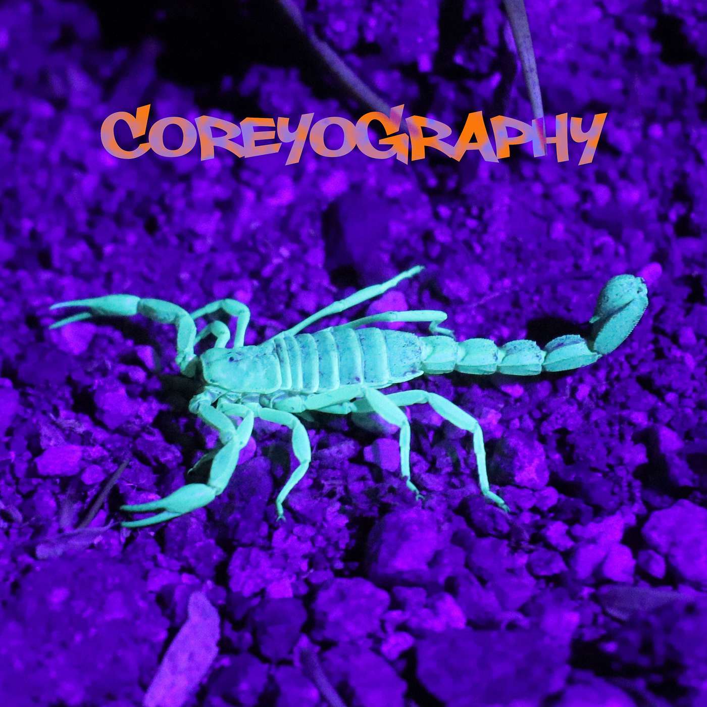 DJ COREY CRAIG