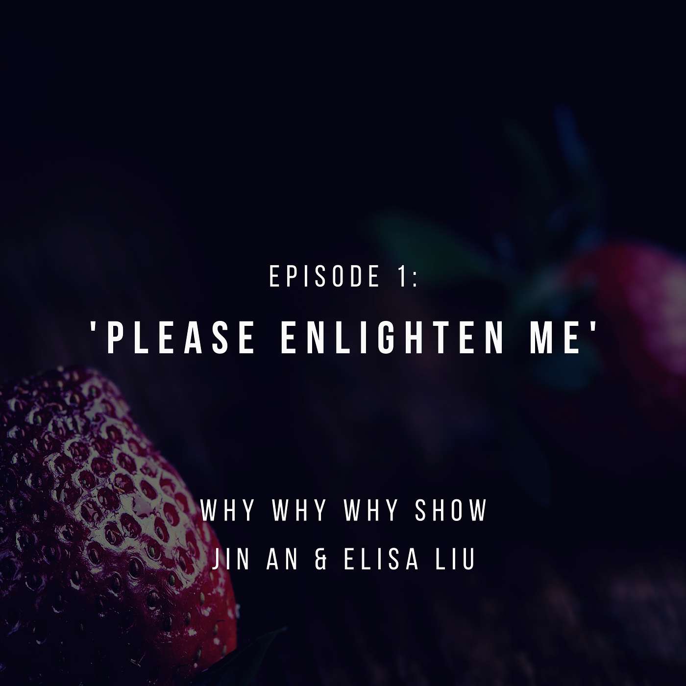 Why Why Why Show